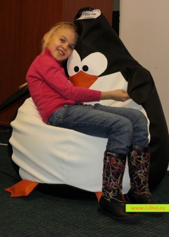 Кресло Пингвин в Оби - ob.mebel54.com | фото