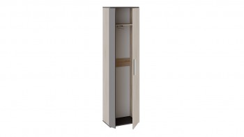 Шкаф для одежды «Нуар» тип 1 Фон серый/Дуб сонома в Оби - ob.mebel54.com | фото
