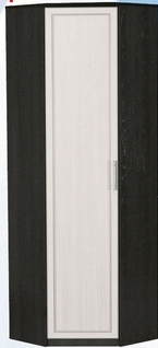 Шкаф для одежды угловой ДЛЯ ГОСТИНОЙ ШОУ-695 Венге/Дуб выбеленный в Оби - ob.mebel54.com | фото