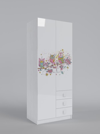 Шкаф с ящиками Совушки (Белый/Выбеленное дерево/2 створки) в Оби - ob.mebel54.com | фото