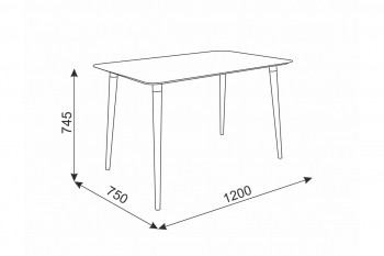 Стол обеденный Сканди 1 серый/венге в Оби - ob.mebel54.com | фото