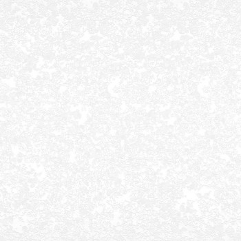 Столешница 3000*600/38мм (№ 63 Белый королевский жемчуг) в Оби - ob.mebel54.com | фото